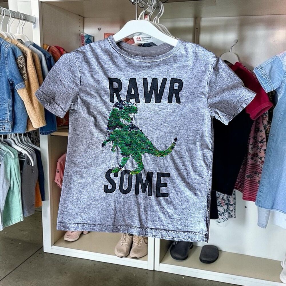 Rumi Ryder Dino Flip Sequin Tee Boys Medium 10-12 Gray RAWR SOME Shirt EUC